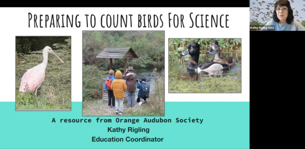 Screenshot of an educator webinar showing bird photos and Kathy Rigling leading the webinar