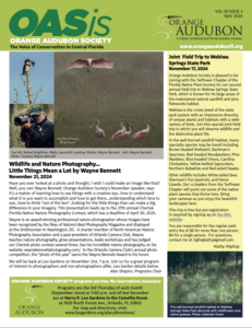 November 2025 Preview