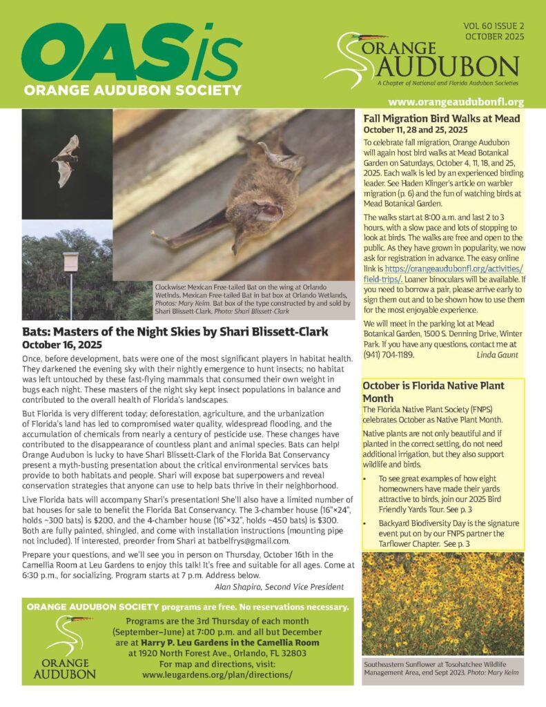 October 2025 Preview