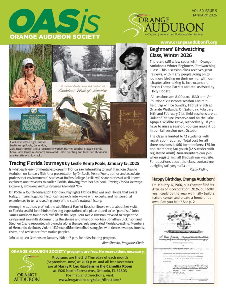 December 2025 Preview